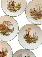 Closeup of wildlife illustrations and green rims