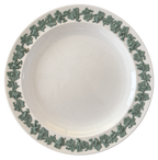 Wedgwood green grapevine plate front with background removed