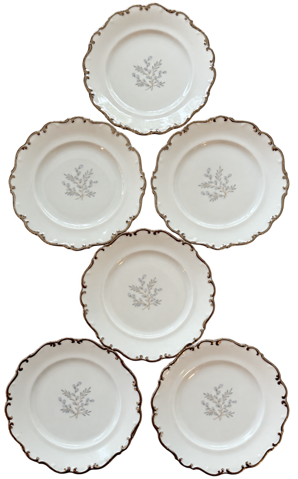 Set of six Schumann Arzberg Platinum Glow floral plates